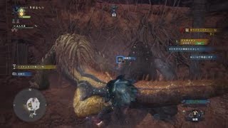 [MHW]モンスターハンター：ワールド　 ドドド三兄弟にて