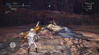 モンスターハンター：ワールド　レイギエナ　闘技場　スラアク