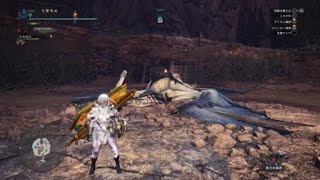 モンスターハンター：ワールド　レイギエナ　闘技場　スラアク