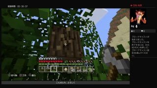 tasu-sssののんびりマインクラフト配信2