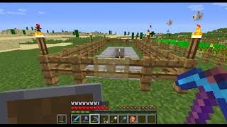 【マインクラフト】ミントのマイクラ日記　4話　村人増殖準備