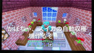 スイッチ版マインクラフト　自動収穫機を作ったよ！カボチャ・スイカざくざく