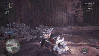 モンスターハンター ワールド　竜玉集め等