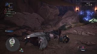 モンスターハンター：ワールド_20180509051230