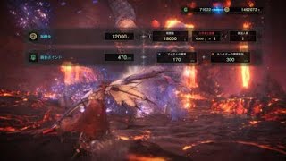 モンスターハンター：ワールド_20180604230424