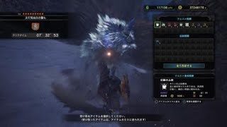 モンスターハンター：ワールド　歴戦王キリン　ランス　7分32秒　オトモ、爆弾、転身無し