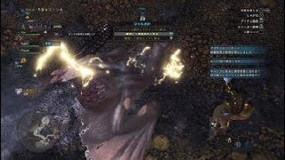 モンスターハンター：ワールド_パオウルムー野良