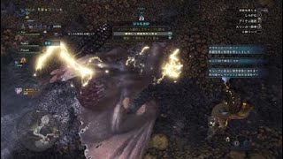 モンスターハンター：ワールド_パオウルムー野良