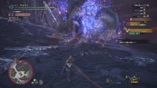 モンスターハンター：ワールド_20180601190216