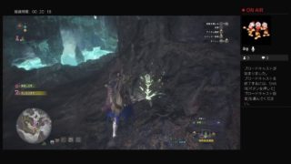 モンスターハンターワールド　オドガロンで遊ぶ