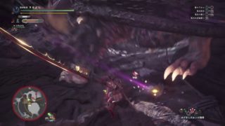 モンスターハンター：ワールド_20180606232859