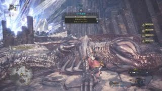 モンスターハンター：ワールド　TA 弓ソロ クシャ　2分3秒