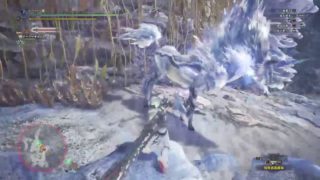 モンスターハンターワールド　歴戦王キリンに挑戦