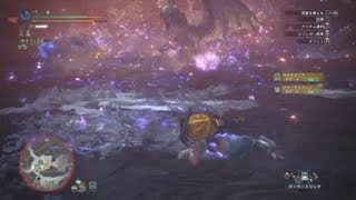 モンスターハンター：ワールド_20180601004458