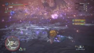 モンスターハンター：ワールド_20180601004458