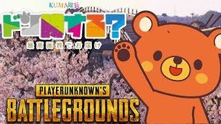 【PUBG】🐻ドン勝する？- 2018/6/1【実況ライブ】