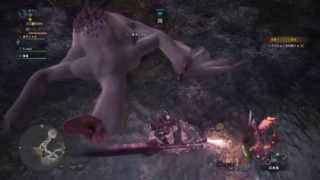 モンスターハンター・ワールド　#9