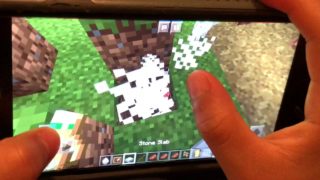 Minecraft planting trees マインクラフト 木を植える