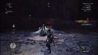モンスターハンター：ワールド_20180505053340