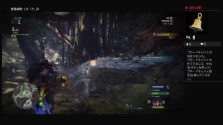 モンスターハンターワールド　HR627  素材集め