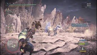 モンスターハンター：ワールド_20180608130230