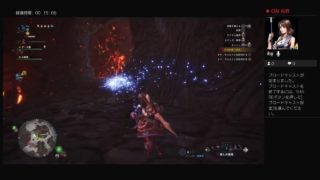 モンスターハンターワールド　ナナテスカトリ　2回目