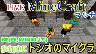 [LIVE] Minecraft（マインクラフト）BE(Win10とPEほか) エンド行ってみるか！
