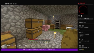 PS4[マインクラフト]まったり雑談ラジオ放送※画面固定多いです