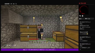 PS4[マインクラフト]まったり雑談ラジオ放送※画面固定多いです