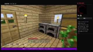 PS4[マインクラフト]まったり雑談ラジオ放送※画面固定多いです