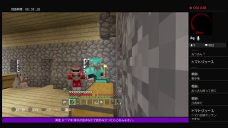 PS4[マインクラフト]まったり雑談ラジオ放送※画面固定多いです