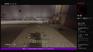 PS4[マインクラフト]まったり雑談ラジオ※画面固定多いです