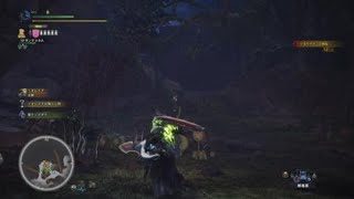 モンスターハンター：ワールド_20180202233559