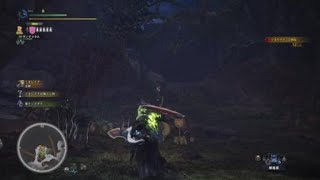 モンスターハンター：ワールド_20180202233559