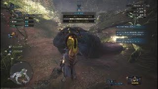 モンスターハンター：ワールド_アンジャナフ野良