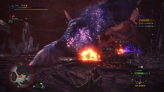 モンスターハンター：ワールド_20180601100558