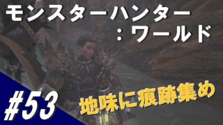 #53 MHW モンスターハンター：ワールド「納品、何はともあれ痕跡」
