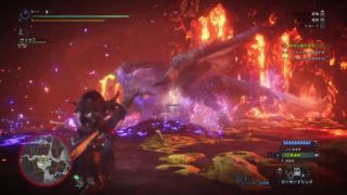 平服するより他に無し【モンスターハンターワールド】