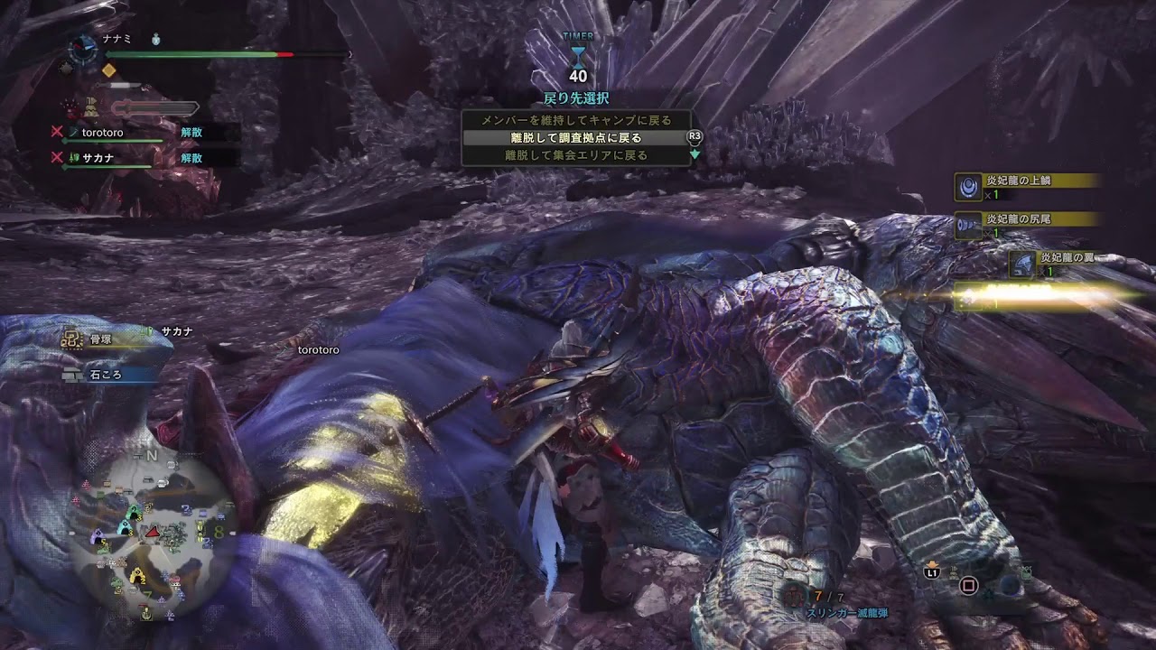 モンスターハンターワールド　マルチでナナ&テオ