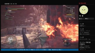 [たぶん女性実況 JAPAN] MHW モンスターハンターワールド ps4 初心者ハンターの完全なる他力本願プレイ♪ 初見さんも常連さんいらっしゃい♪コメント命！大歓迎よん♪ 6/6昼