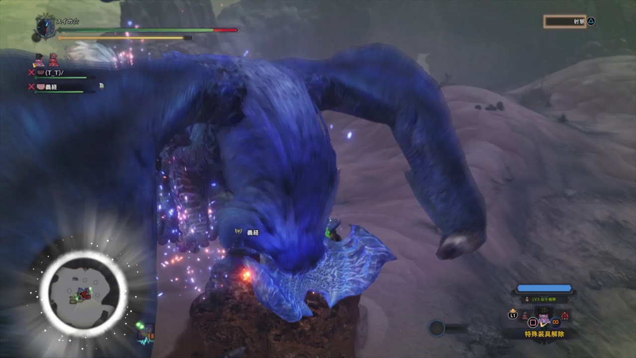 モンスターハンター：ワールド_20180609063848