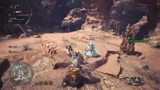 モンスターハンター：ワールド_20180523172348