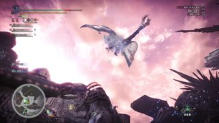 モンスターハンター：ワールド_20180607202050