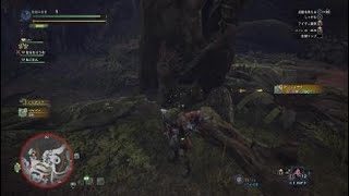 モンスターハンター：ワールド_20180203033944
