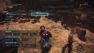 モンスターハンター：ワールド_20180604023135