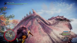 モンスターハンター：ワールド_20180604233258