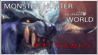 【MHW】モンスターハンターワールド　歴戦ナナ・テスカトリ チャーアク【Monster Hunter World】