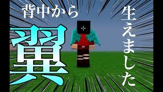 背中から翼、生えました。マインクラフト　MOD紹介　More Player Models