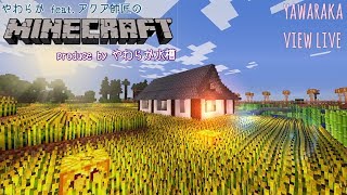 アクア師匠のマインクラフトPC（やわらか視点）