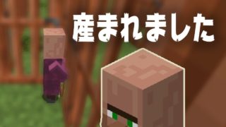 【マインクラフト】お客様招待準備中に産まれた村人！：まぐにぃのマイクラマルチ#155